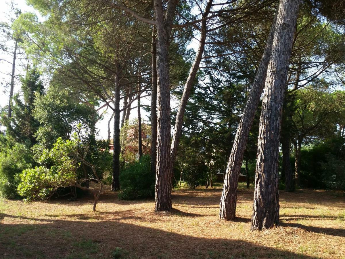 Villa Fabiola Fogas de Tordera Luaran gambar
